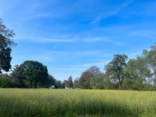 Foto - 5 Zimmer Einfamilienhaus in Cottbus