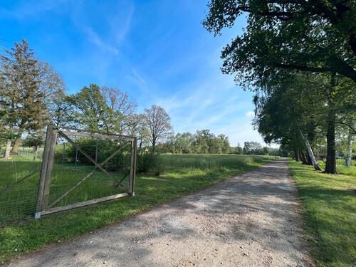 Foto - Einfamilienhaus in Cottbus zum Kaufen
