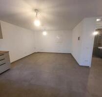 55qm Einliegerwohnung im UG in 88430 Rot an der Rot