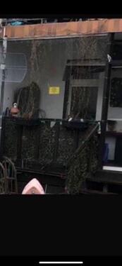 Foto - 2 Zimmer Erdgeschoßwohnung in Leipzig