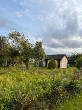 Foto - Grundst&uuml;ck in Salzgitter