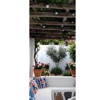 Vermiete ein Haus in Würselen Linden-Neusen