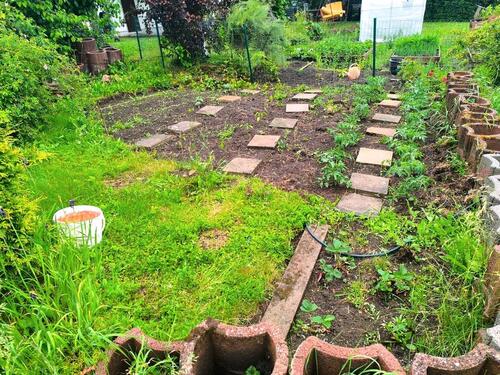 Foto - Grundst&uuml;ck zur Miete in Erfurt