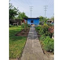 Kleingarten - 2.800,00&nbsp;EUR Kaltmiete, ca.&nbsp; 0,00&nbsp;m&sup2; in Wolfsburg (PLZ: 38442) Ehmen