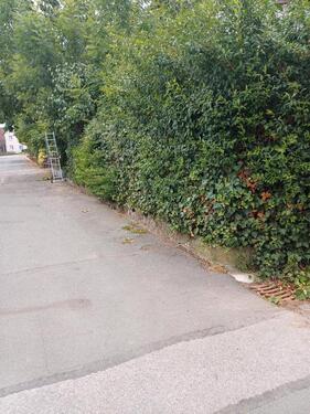 Foto - 1 Zimmer Bauernhaus, Landhaus zum Kaufen in Forchheim