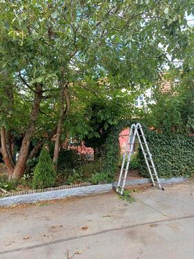 Foto - 1 Zimmer Bauernhaus, Landhaus in Forchheim