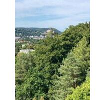 4-Zimmer-Wohnung mit Traum-Ausblick und perfekter Lage - Marburg Biegenviertel