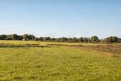 Foto - Grundstücke Land als Ausgleichsfläche 27624 Ringstedt