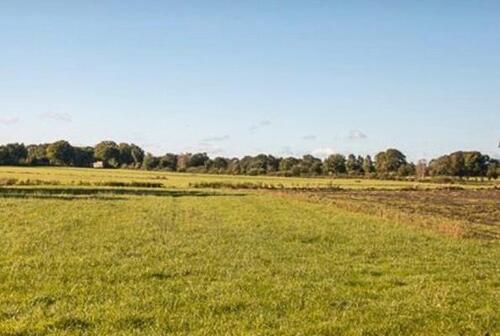 Foto - Grundstücke Land als Ausgleichsfläche 27624 Ringstedt