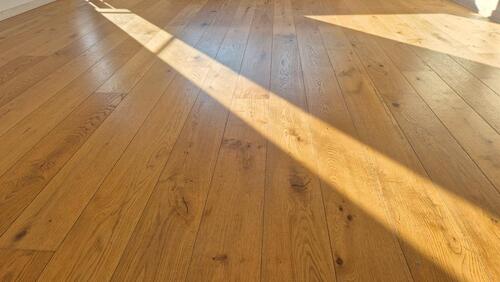 Foto - Goldesel in Bad Kissingen zu Verkaufen