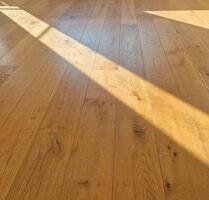 Goldesel in Bad Kissingen zu Verkaufen