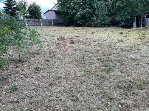 Foto - Baugrundstück, Gartengrundstück