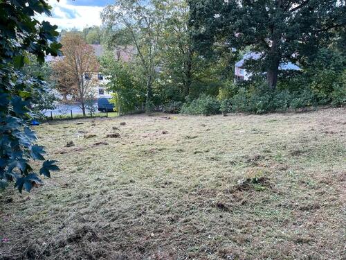 Foto - Grundstück in Neusorg zur Miete