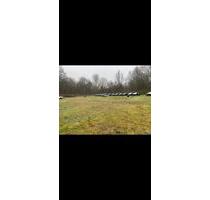 Gewerbe Grundstück zu Verpachten incl. Beleuchtung u. Vide - Celle Bostel