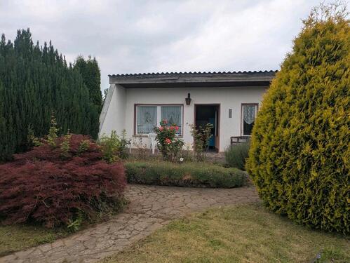 Foto - Kleingarten, Pachtgarten in 99974 Mühlhausen