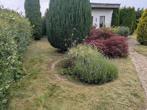 Foto - Grundst&uuml;ck in Anrode