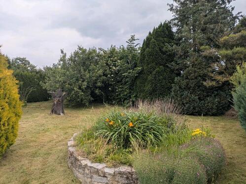 Foto - Grundst&uuml;ck in Anrode zur Miete