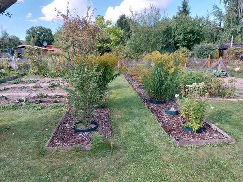 Foto - Grundst&uuml;ck in Breitenworbis