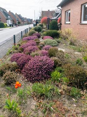 Foto - 5 Zimmer Einfamilienhaus zum Kaufen in Warendorf