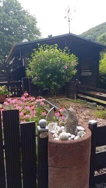 Foto - Einfamilienhaus in Köln zum Kaufen