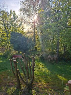 Foto - GrundstückHaus mit viel Entwicklungspotenzial im Zooviertel