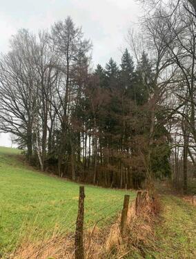 Foto - Grundstück in Polle zur Miete