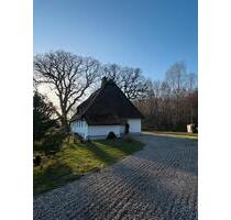 Modernes kernsaniertes Traumhaus in Alleinlage zu vermieten - Kappeln