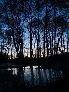 Foto - Biete möbliertes Zimmer in WG von 15. März bis 15. April 2026