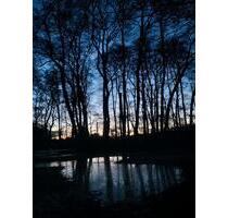 Biete möbliertes Zimmer in WG von 15. März bis 15. April 2026 - München Au-Haidhausen