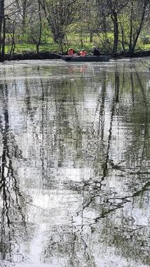 Foto - 