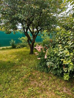 Foto - EFH EW- Ostend - 400.000,00&nbsp;EUR Kaufpreis, ca.&nbsp; 123,00&nbsp;m&sup2;