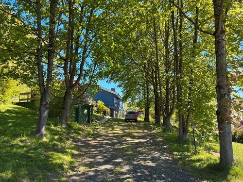 Foto - Einfamilienhaus in Bad Hersfeld zum Kaufen