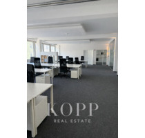 Provisionsfreie Loftfläche mit Industriecharakter in München-Obersendling