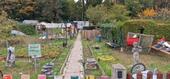 Foto - Großer Garten abzugeben - 2.000,00 EUR Kaltmiete, ca.  0,00 m²