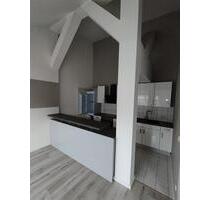 Moderne DG 4-Zi. mit offener Küche, EBK, Kamin, Laminat und SP mgl.! - Zwickau