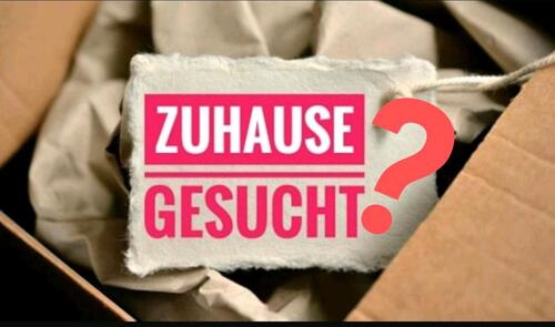 Foto - 2 Raum WHG. neu sanmodern. Salzwedel 490€ WM