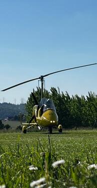 Foto - andere zur Miete in Gundelsheim