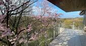 Foto - Einfamilienhaus mit außergewöhnlichem Blick über das Rumbachtal