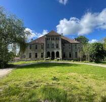 Schloss Düssin - 400.000,00&nbsp;EUR Kaufpreis, ca.&nbsp; 1.700,00&nbsp;m&sup2; in Amt Neuhaus (PLZ: 19273)