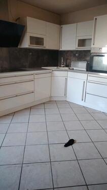 Foto - Erdgeschoßwohnung in Elsdorf zur Miete