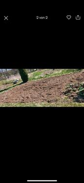 Foto - Grundstück zur Miete in Bad Buchau