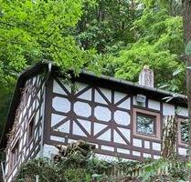 Großes Waldhaus St. Martin (RLP) Pfälzer Wald mit Sauna + Kamin - Maikammer