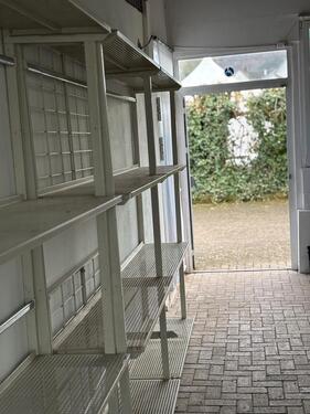 Foto - andere in Lahr (Schwarzwald)