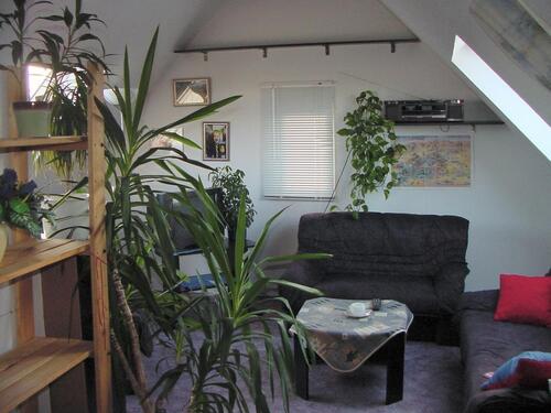 Foto - 1 Zimmer Dachgeschoßwohnung zur Miete in Bockenem