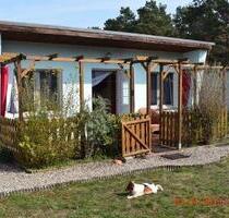 Ferienbungalow in Ueckermünde-Bellin