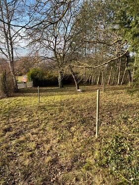 Foto - Pachtgarten in Abstatt mit Häuschen, gemauerter Grill, umzäunt