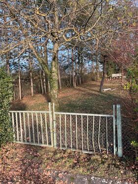 Foto - Grundstück zur Miete in Ludwigsburg