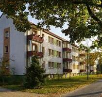Vollmodernisierte 3-Zimmer-Wohnung mit Balkon in Ressen - Neupetershain