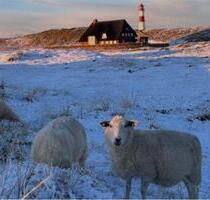 Weihnachten an der Ostsee 5 Personen Kinder Ferienhaus - Lensahn