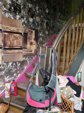 Foto - Einfamilienhaus in Ensdorf zum Kaufen